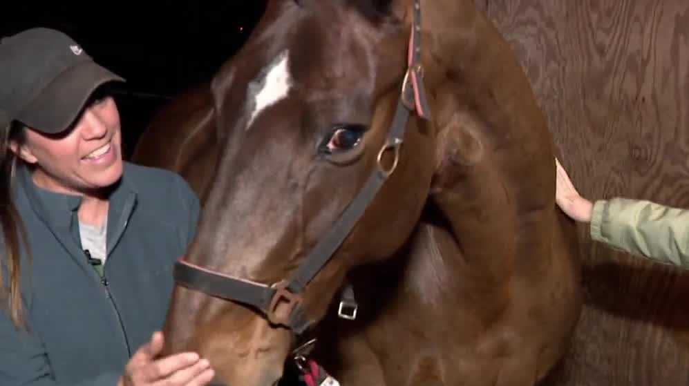 Gardens, stables prepare for extreme cold weather in Central Florida Gardens, stables prepare for extreme cold weather in Central Florida