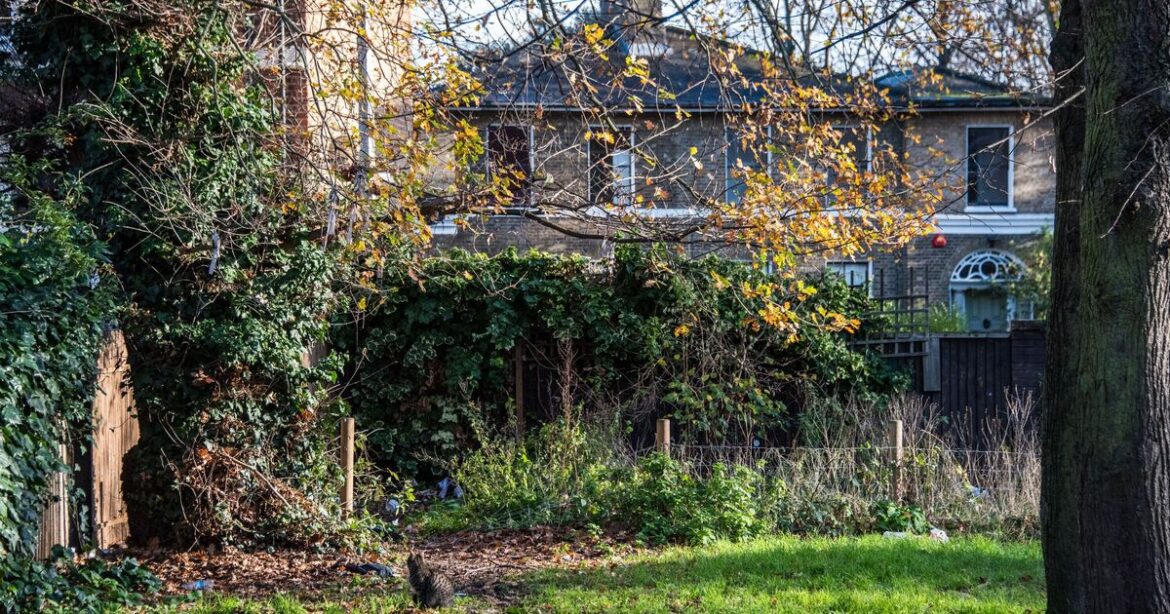 Anyone with garden asked to take action in next 48 hours to spot sign Anyone with garden asked to take action in next 48 hours to spot sign