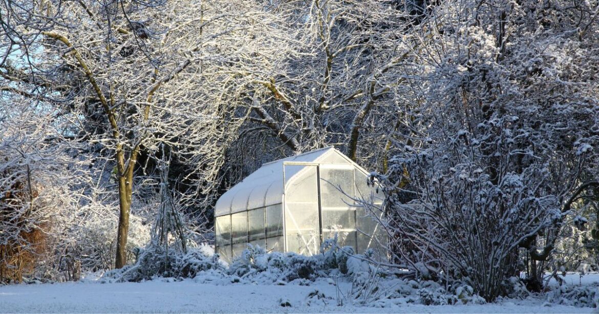 Anyone with a greenhouse in garden urged to do 1 thing in January to prepare for spring
