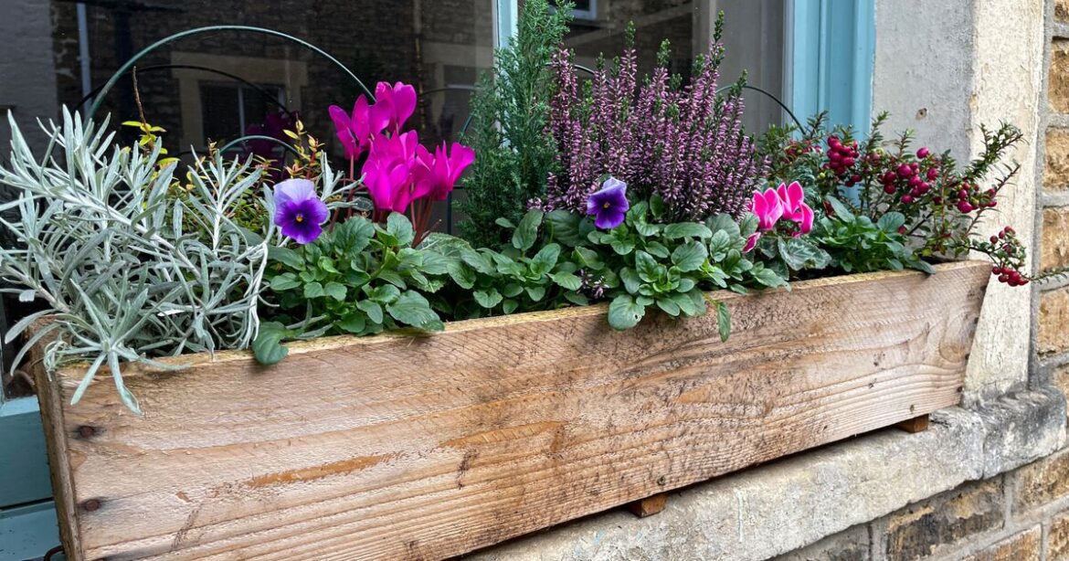 My top tip for brightening your winter lookout as the season bites My top tip for brightening your winter lookout as the season bites