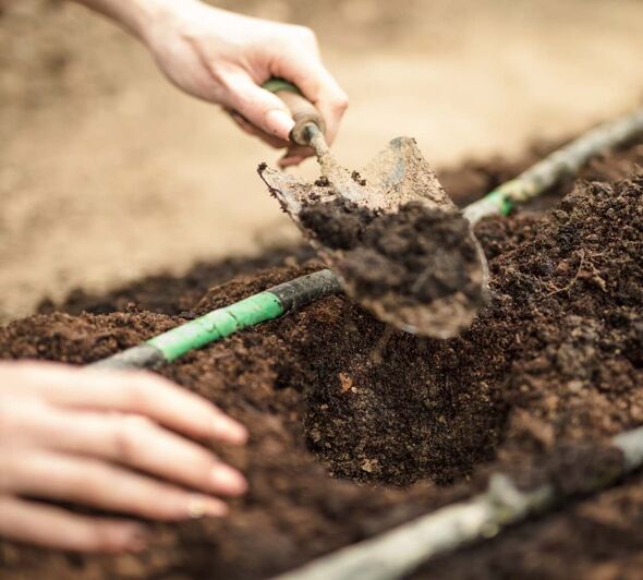 Peat-free compost