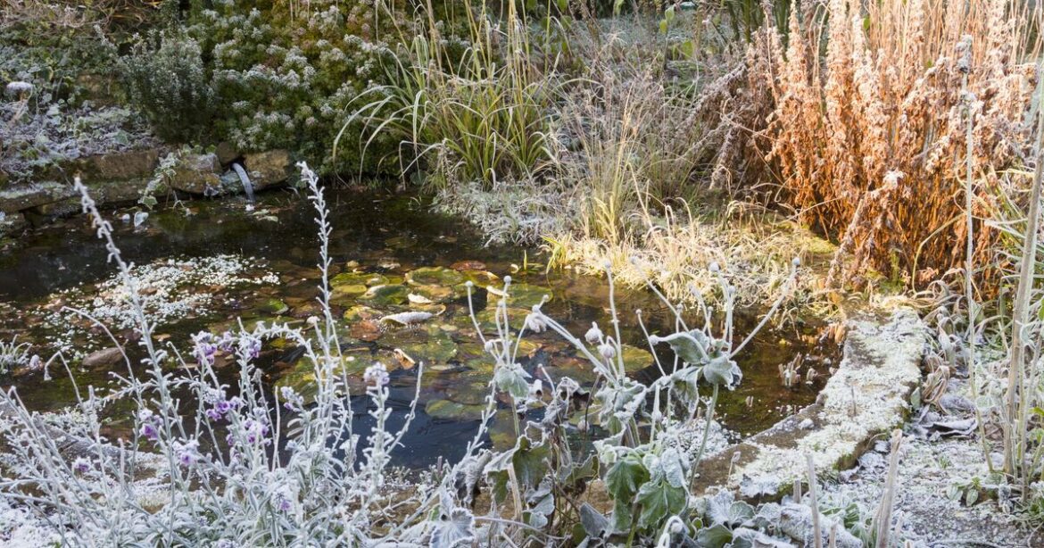 Five important gardening jobs that need to be done in January Five important gardening jobs that need to be done in January