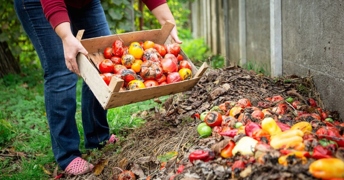 I’m a gardening expert – here’s how to turn rubbish into garden gold I'm a gardening expert – here's how to turn rubbish into garden gold