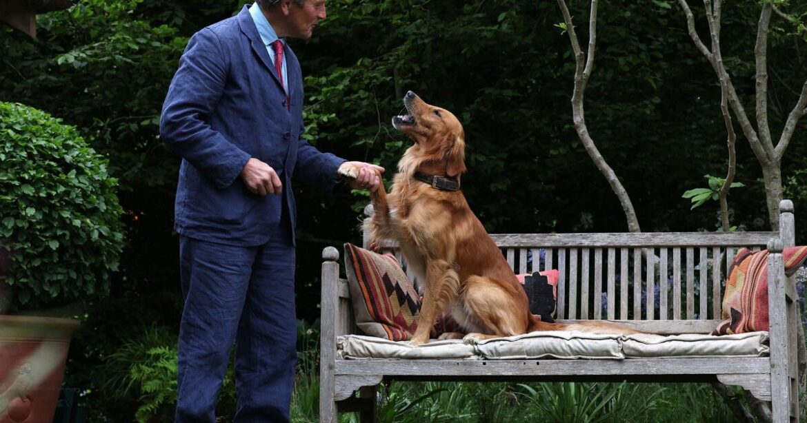 Monty Don shares February gardening jobs to prepare your garden for sp Monty Don shares February gardening jobs to prepare your garden for sp