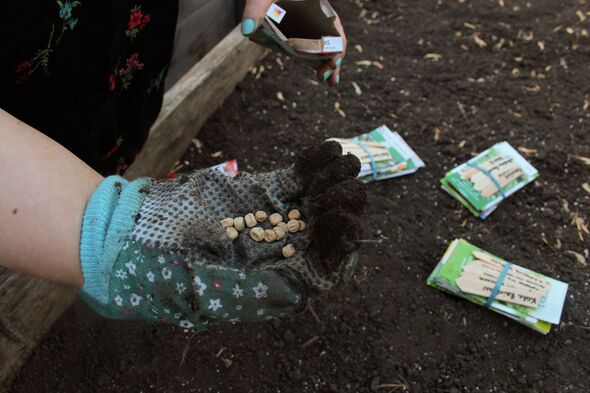 You can't garden without digging your hands and gloves into the soil. Most gardeners in northern climes make their gardens a com You can't garden without digging your hands and gloves into the soil. Most gardeners in northern climes make their gardens a com