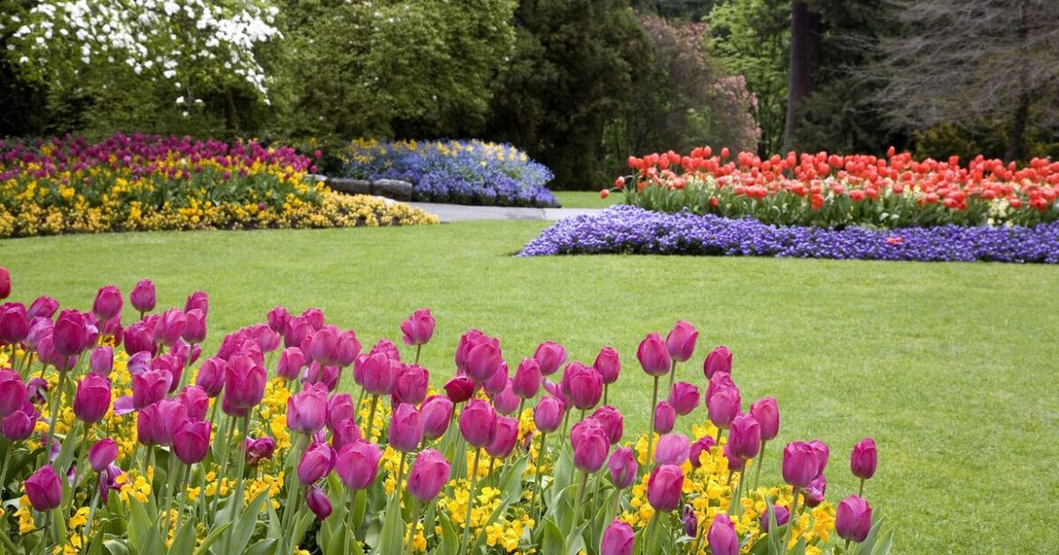 Gardening task to do now for beautiful flower garden in summer