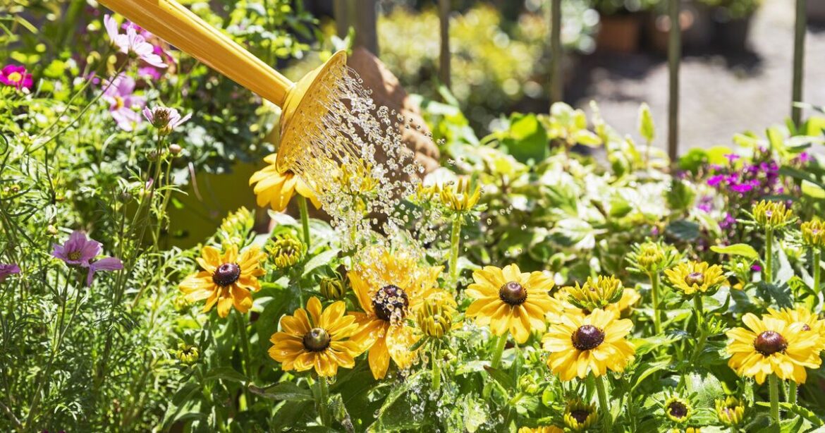 How to get flowers blooming for longer with 1 popular kitchen scrap How to get flowers blooming for longer with 1 popular kitchen scrap