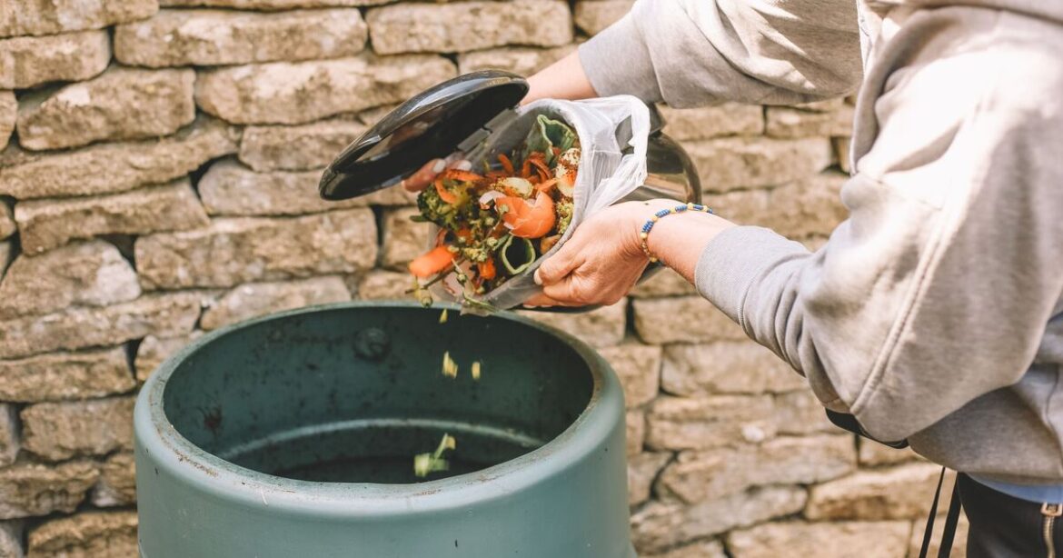 Gardener issues important advice to anyone who composts tea bags