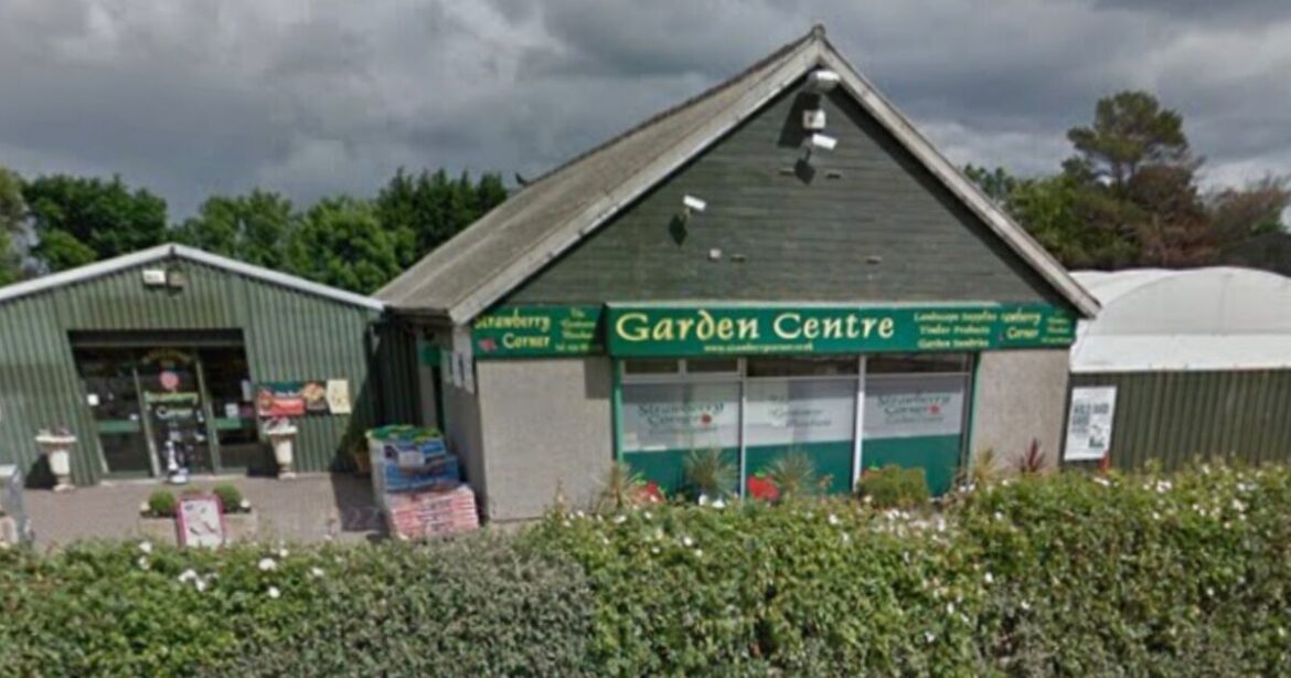Popular UK garden centre to close after 32 years - ‘crippling’ | UK | News
