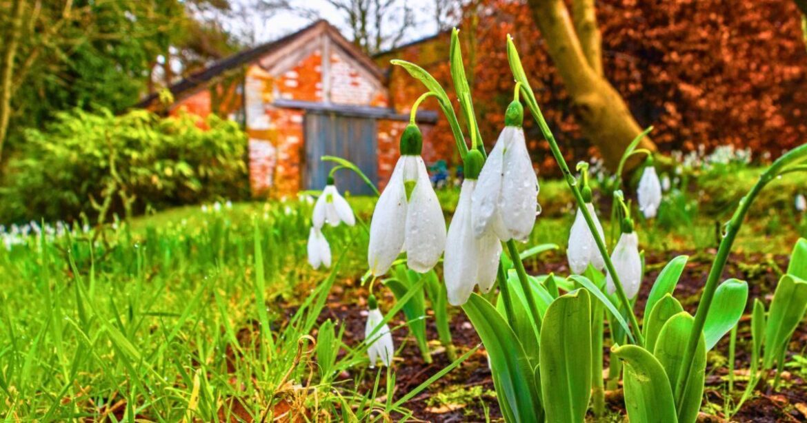 Monty Don urges gardeners to do 4 easy jobs in February to help their garden grow Monty Don urges gardeners to do 4 easy jobs in February to help their garden grow