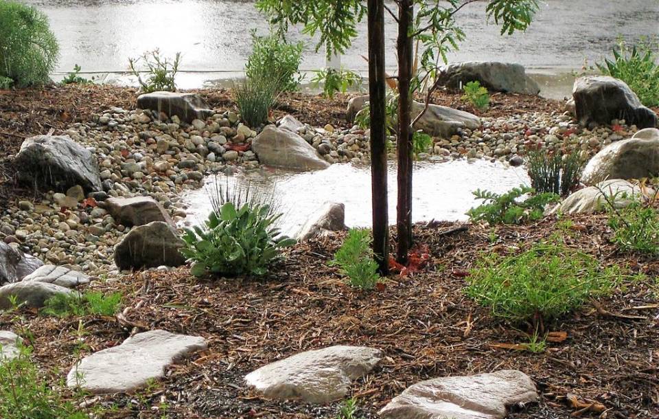 rock garden with small pond and greenery