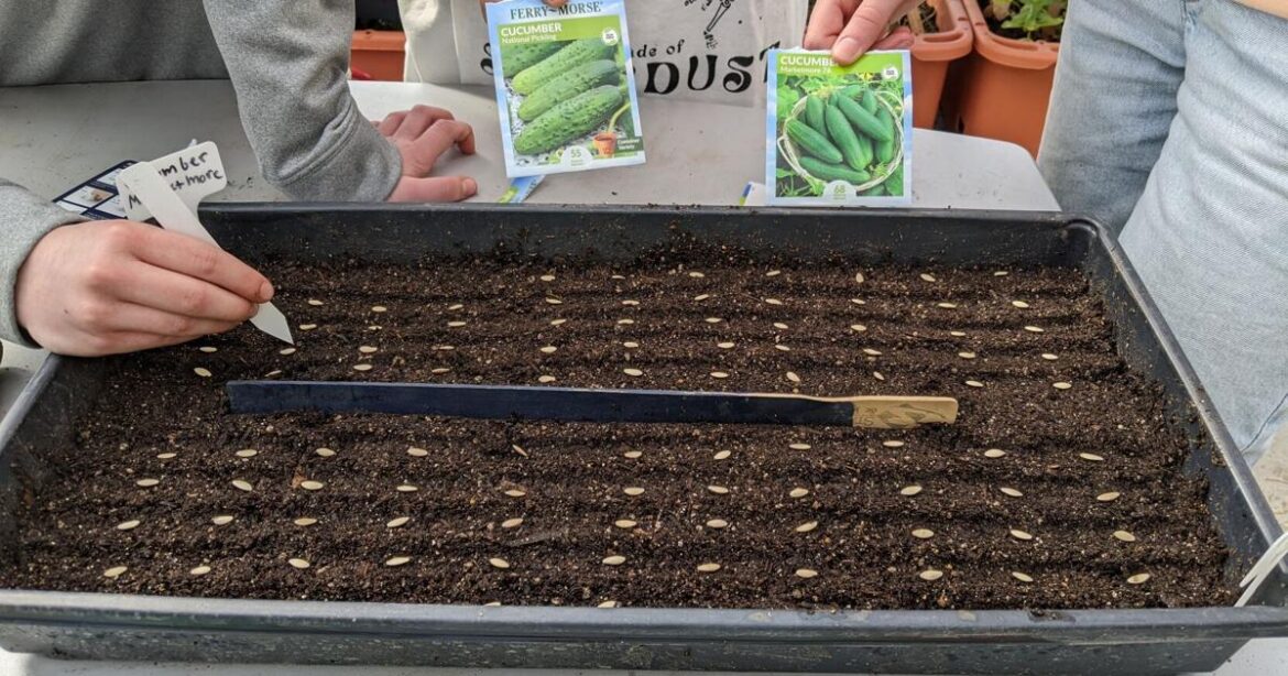 Yakima County Master Gardeners: Seed catalogs arrive and bird observations | Home And Garden