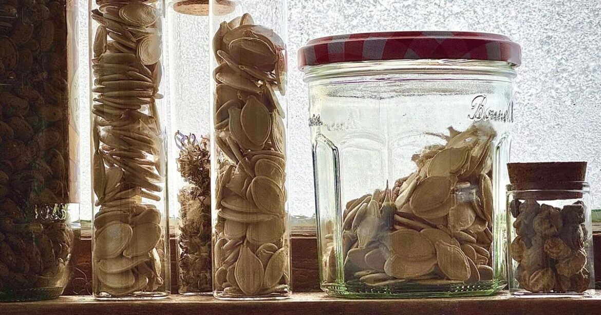 UVM Extension: New Year’s resolutions for gardeners | Weekend Magazine UVM Extension: New Year’s resolutions for gardeners | Weekend Magazine