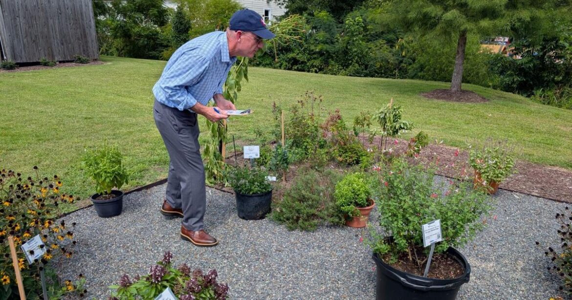 GARDEN GUIDE: 2025 was a Record Year for the Great Southeast Pollinator Census in Lee County | Archives GARDEN GUIDE: 2025 was a Record Year for the Great Southeast Pollinator Census in Lee County | Archives