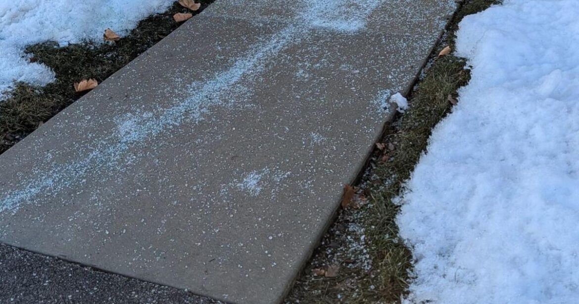 In the Garden | Minimizing de-icing damage | Gardening In the Garden | Minimizing de-icing damage | Gardening