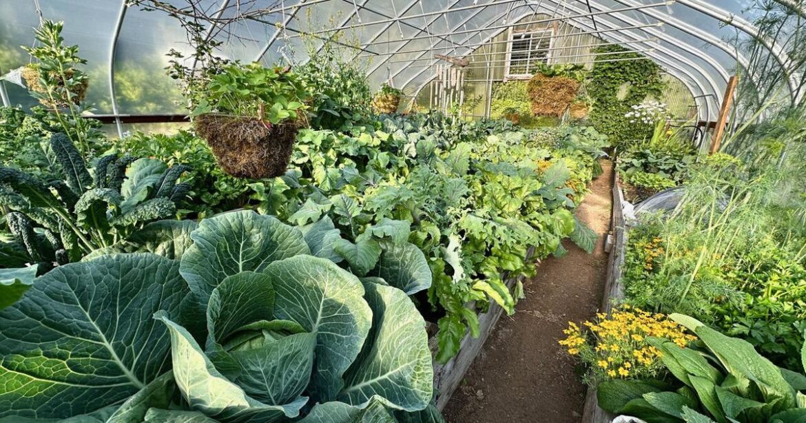 On sunshine, laughter and gardening | Community