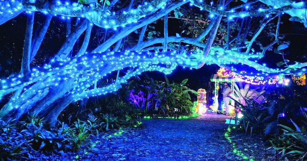 Heathcote sparkles with annual Garden of Lights | St. Lucie County