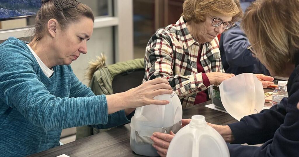 Bringing sustainable gardening to your own backyard |