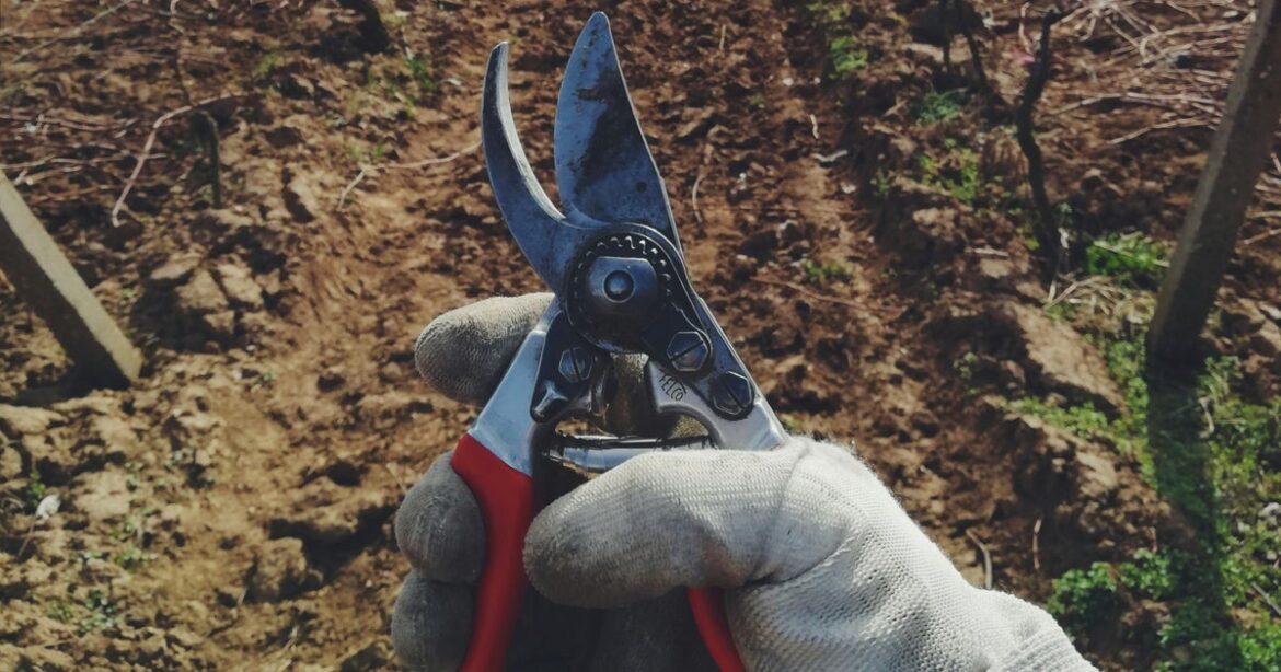 How To Prepare Your Garden For Spring In 5 Simple Steps