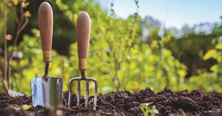 Spring planting starts next month | Garden Checklist | Home and Garden Spring planting starts next month | Garden Checklist | Home and Garden