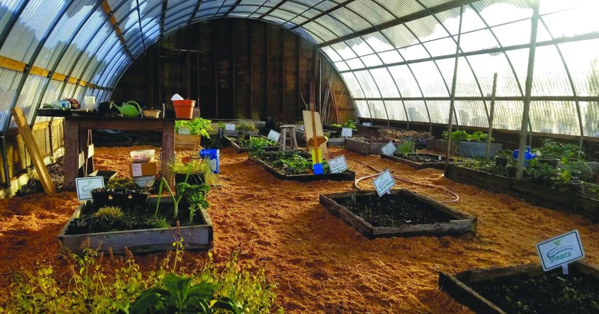 Community garden transforming Metlakatla’s access to fresh produce | Alaska Community garden transforming Metlakatla's access to fresh produce | Alaska