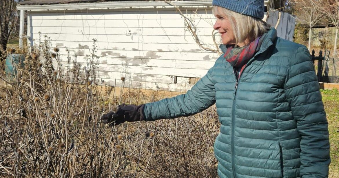 Winter Garden Dreams | Lifestyles