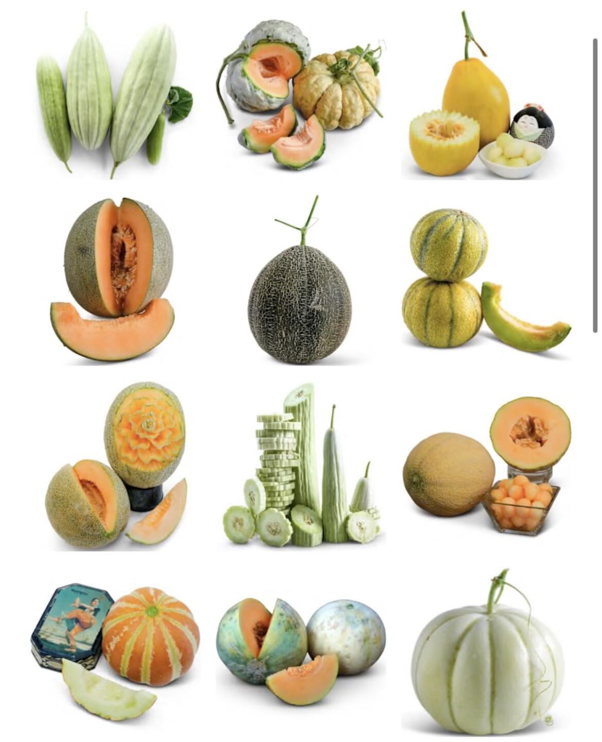 Best mini melons to grow, with best flavor? Any recommendations?