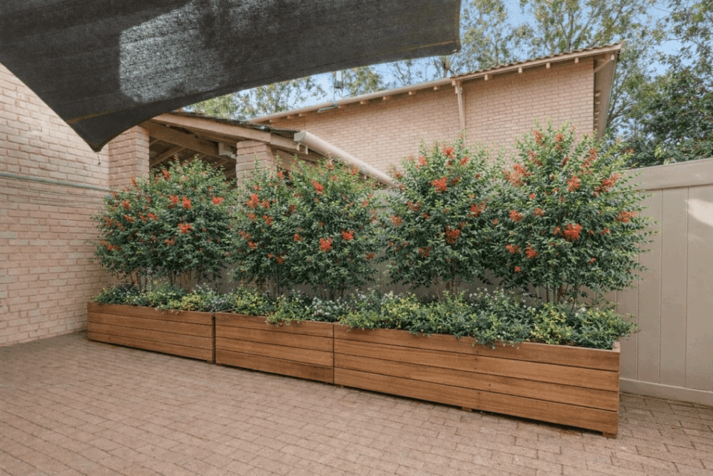 Help a newbie home owner making something nice out of his courtyard. Help a newbie home owner making something nice out of his courtyard.