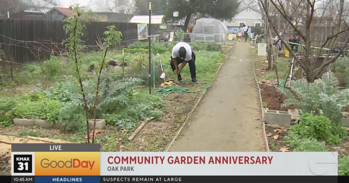 The Oak Park Community Garden celebrates its first anniversary!