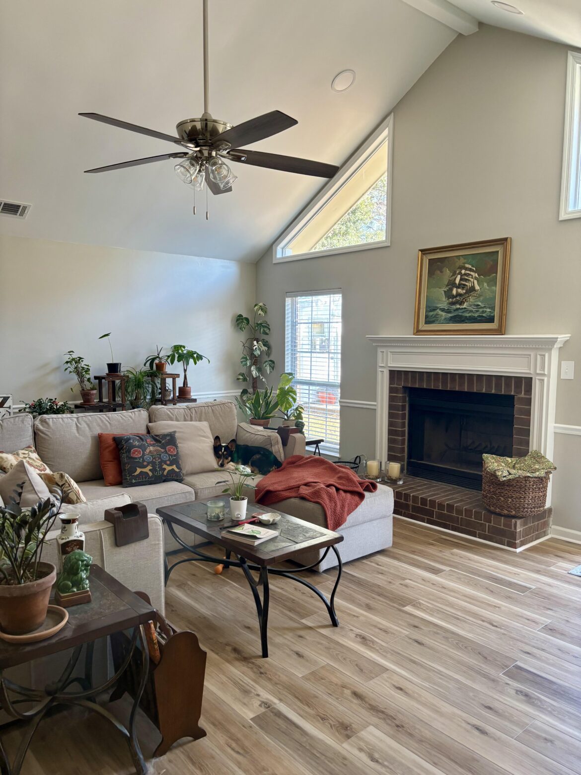 Our new house has the best windows for houseplants 😍