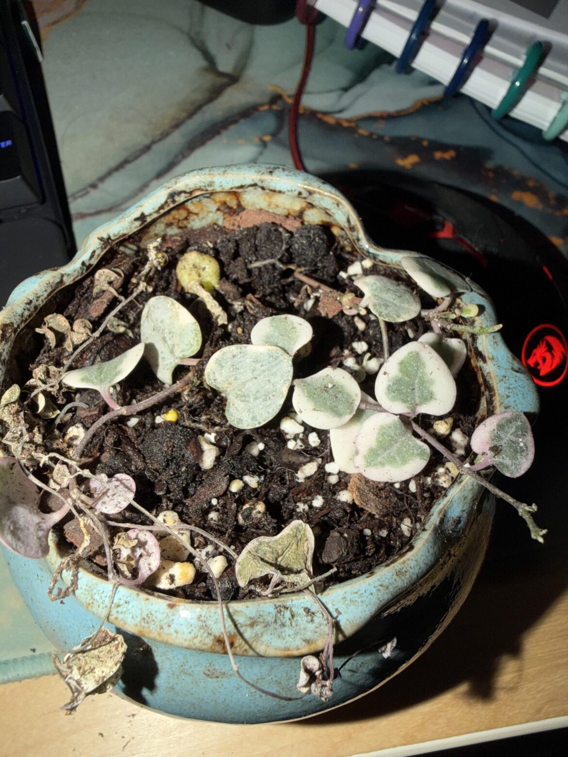 Help with my String of Hearts