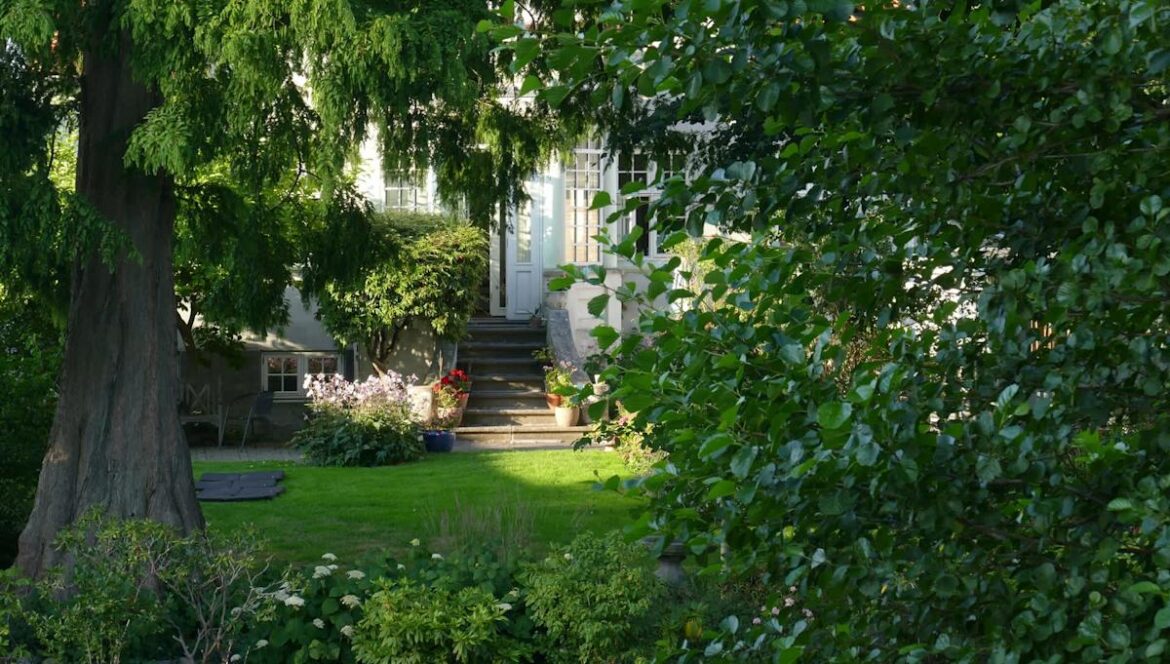 Gardener captures adorable video of unexpected backyard visitor making itself at home: 'I love it'