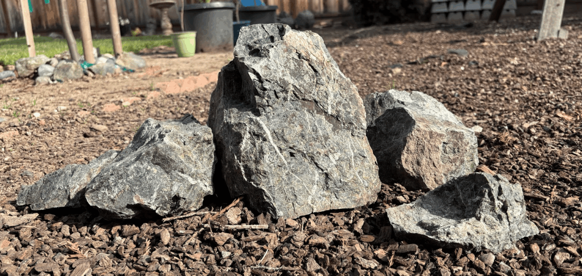 My Own Yard Rocks - Worth It? (first terrarium)