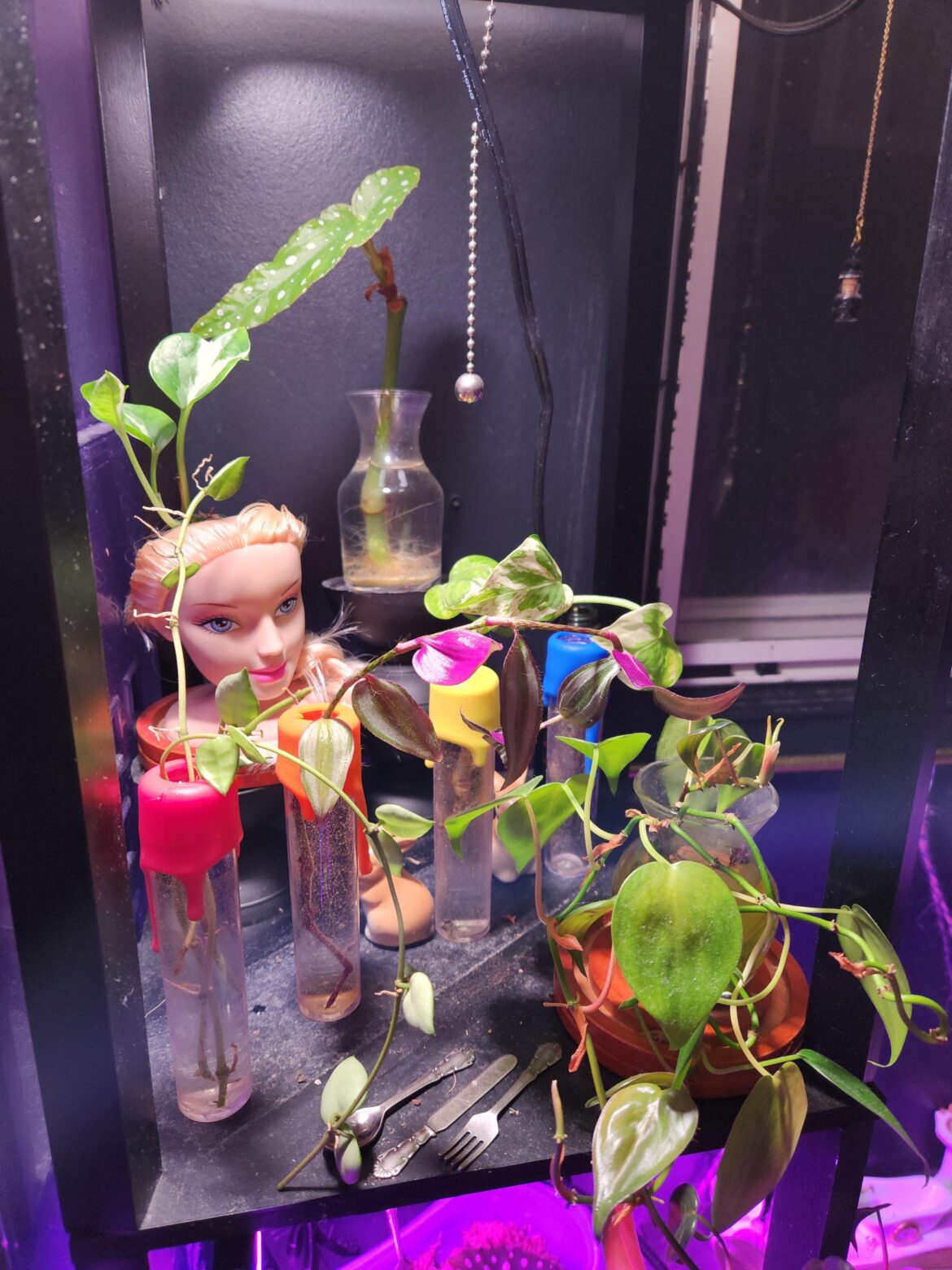 Updated My Propagation Station.