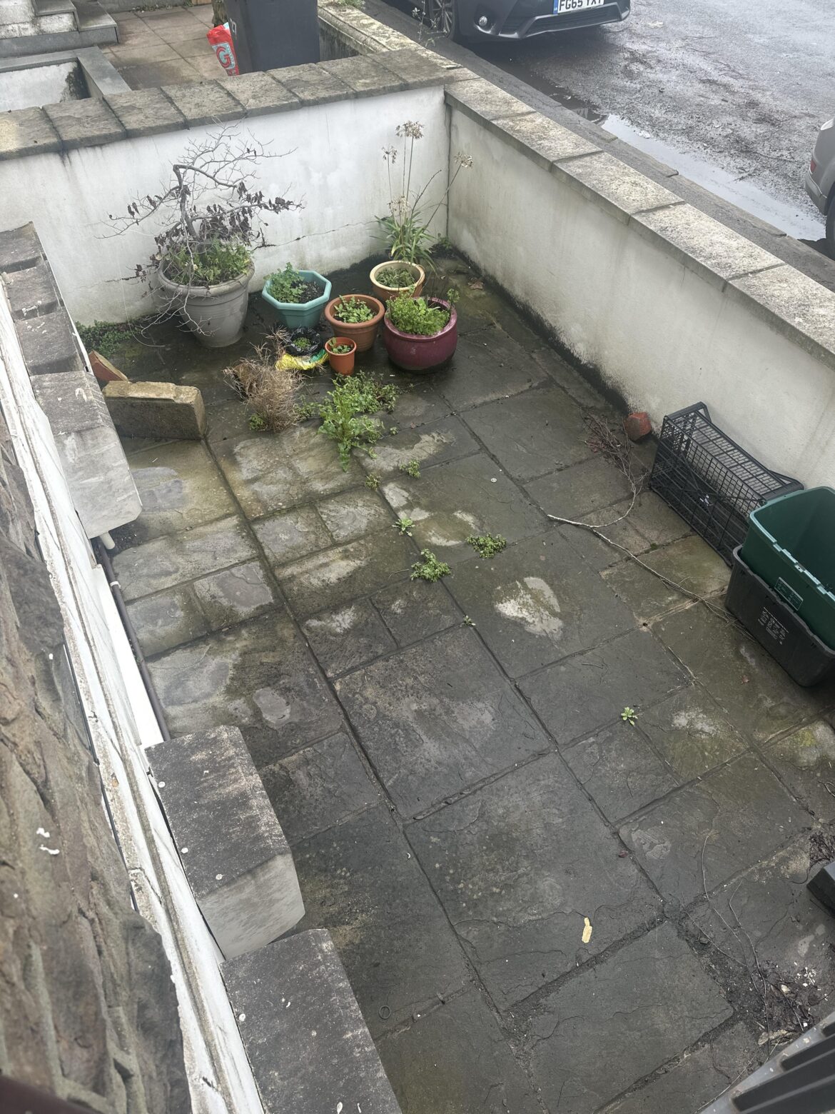 Super Novice Dreaming of converting to a Japanese style garden