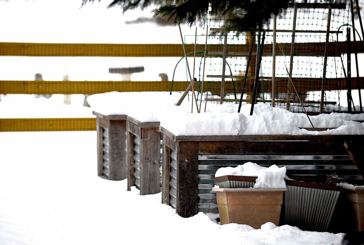 5 Smart Ways to Use Snow to Help Your Garden Thrive