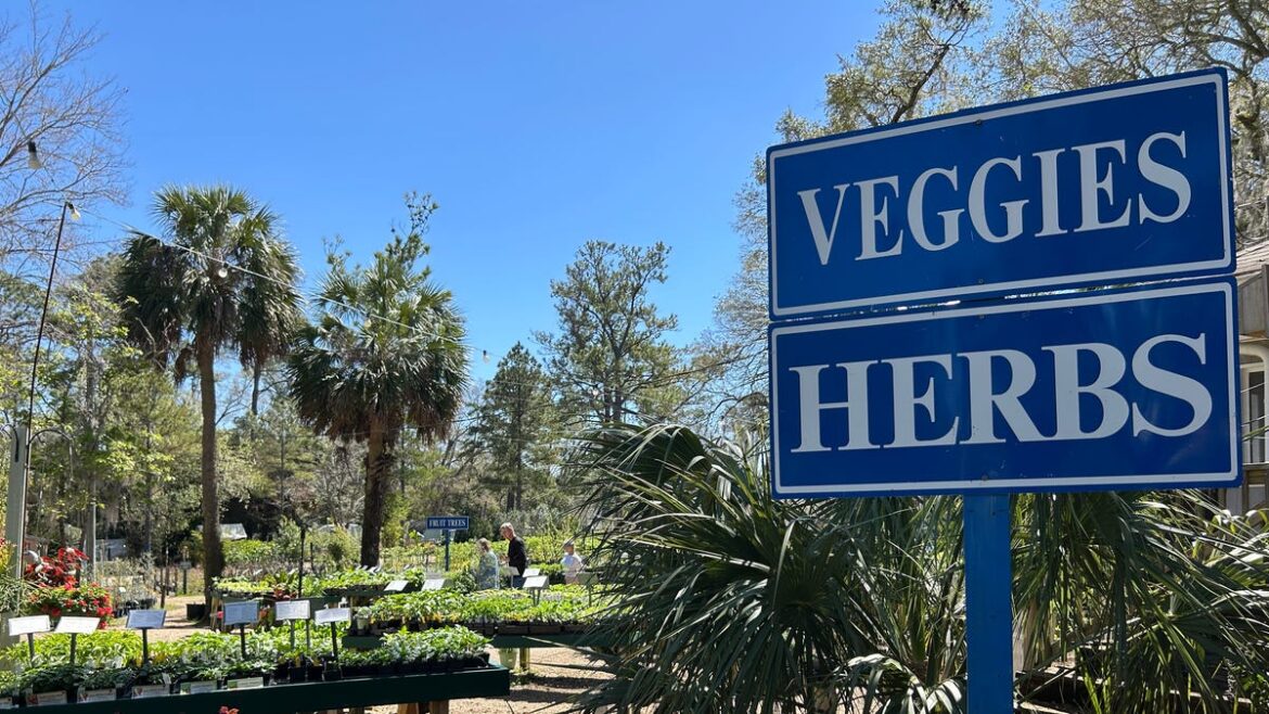 How to start a garden journal to track crops, seeds and blooms How to start a garden journal to track crops, seeds and blooms