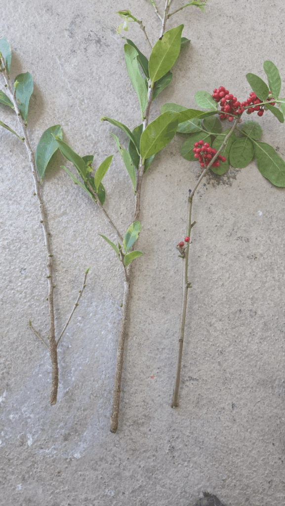Help with propagation