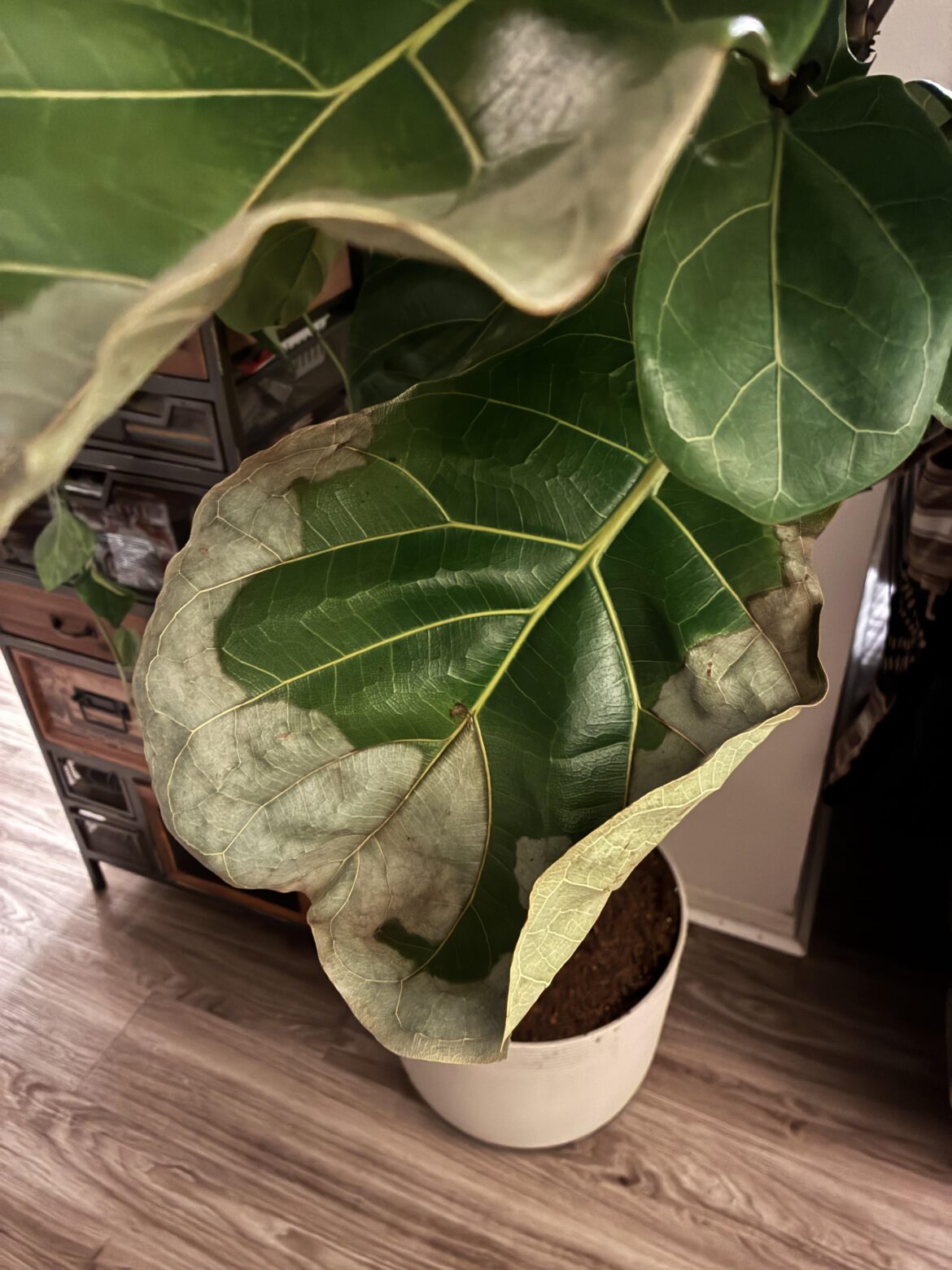 Why is this happening?