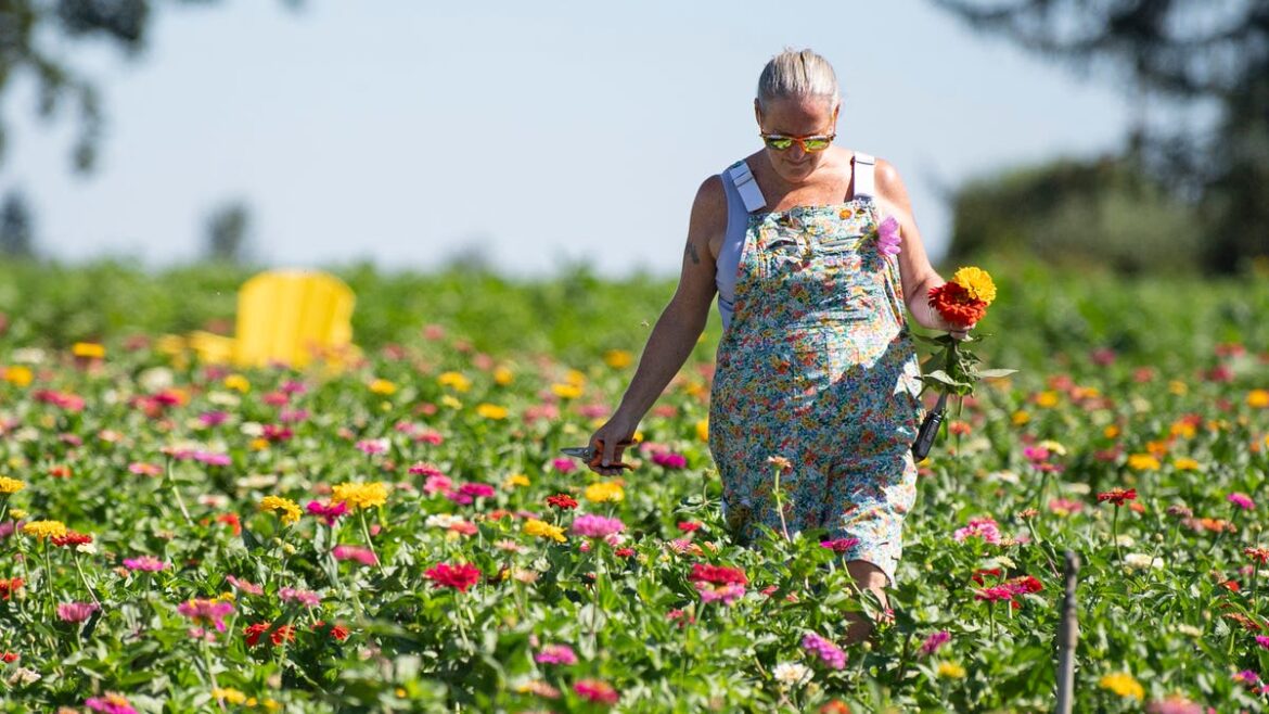 Great new varieties for Dakota gardeners Great new varieties for Dakota gardeners