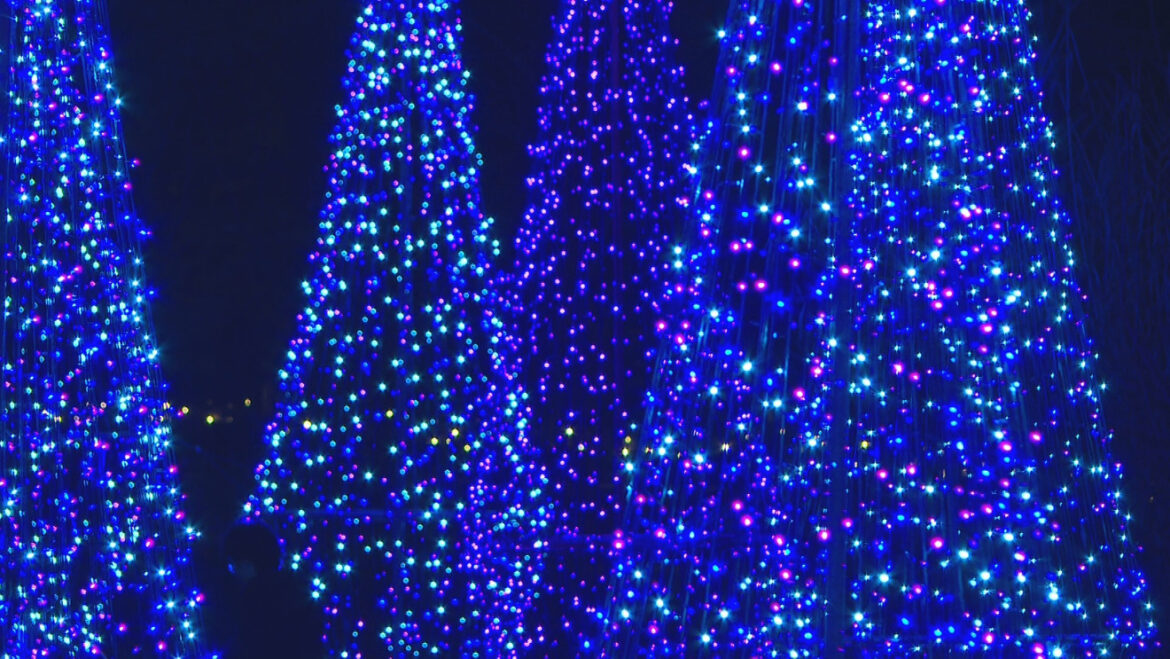 Final night of holiday light displays at Wellfield, Fernwood Botanical Gardens station icon