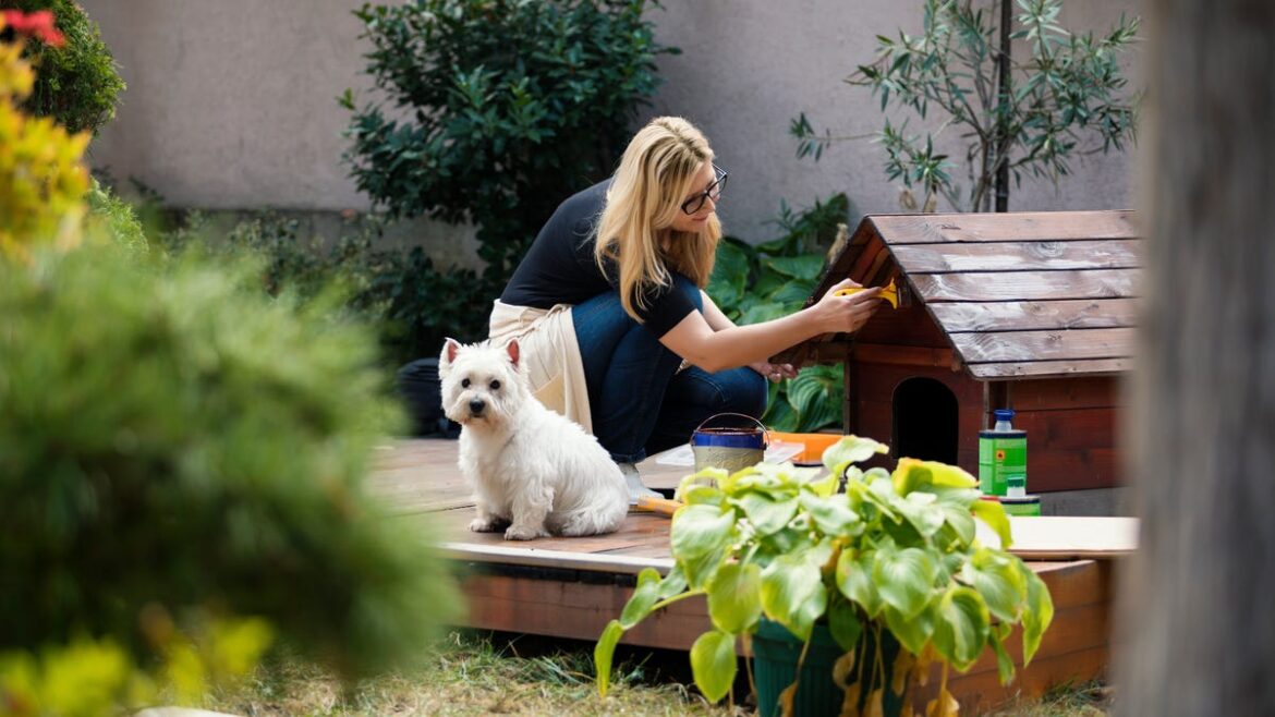 Why these 2026 gardening trends shouldn’t be taken seriously Why these 2026 gardening trends shouldn't be taken seriously