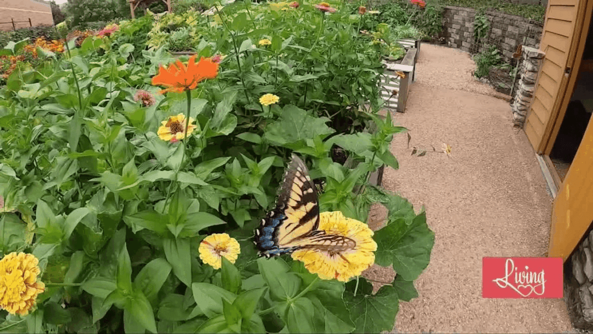 Rooted in Learning: Become a Master Gardener station icon