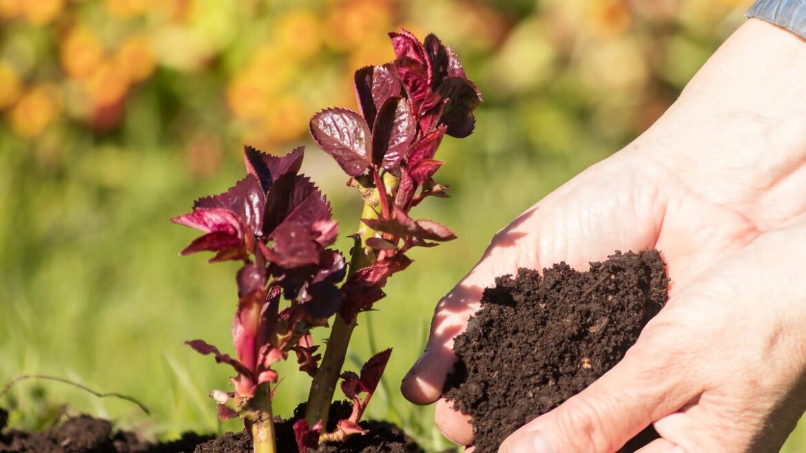 Fertilizers – The good, the bad and the ugly