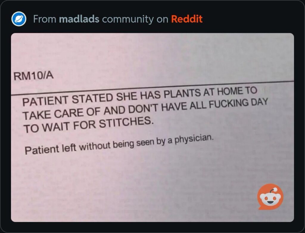 Which one of you did this