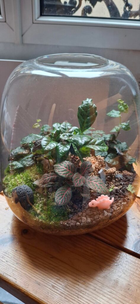 What could have decomposed arabica leaves in a sphagnum moss substrate terrarium ? Fungi ? What could have decomposed arabica leaves in a sphagnum moss substrate terrarium ? Fungi ?
