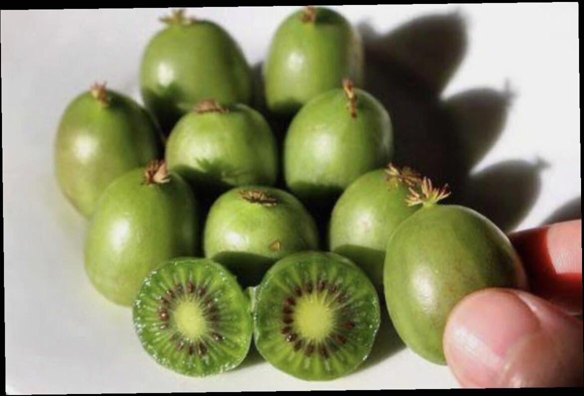 Looks delicious
