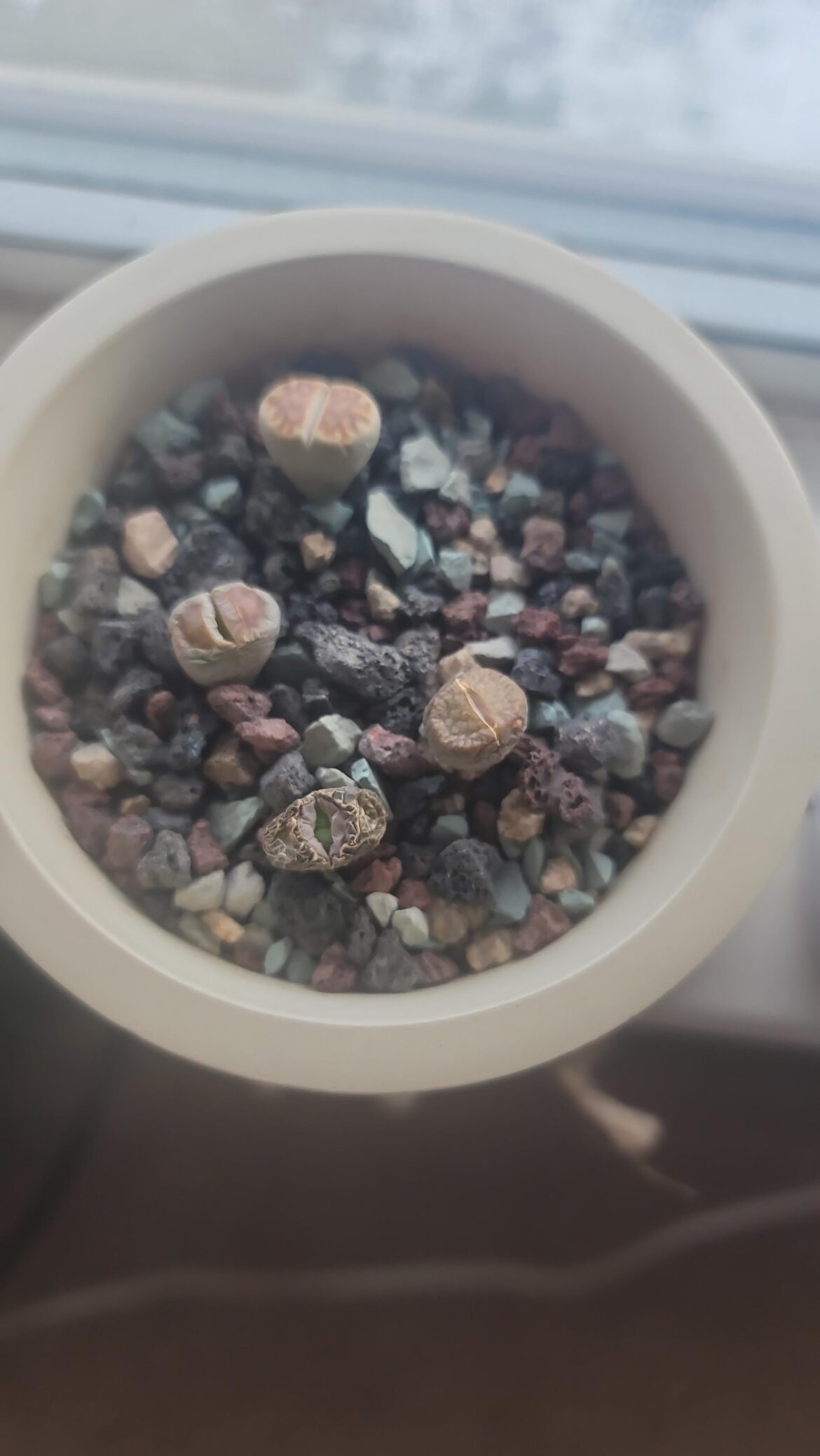 01.27- Now body shows finally