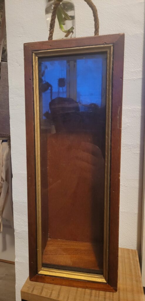 Can I make this wooden box into a moss terrarium?