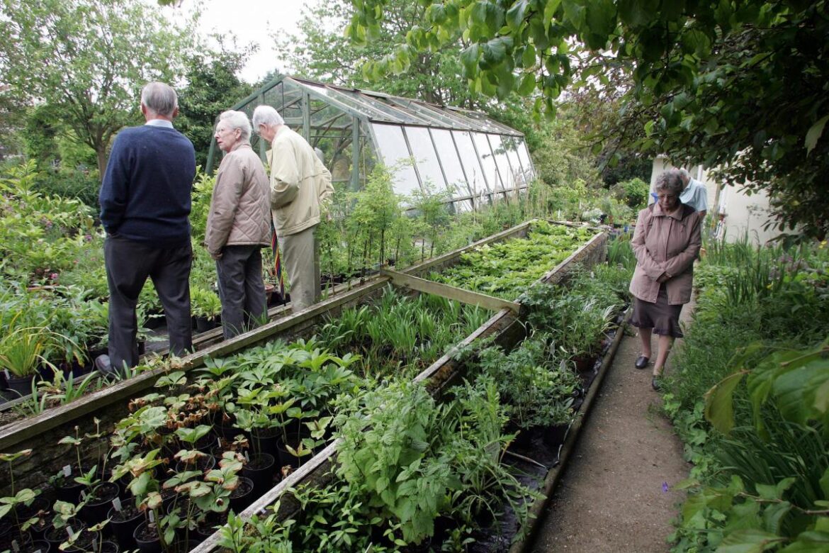 The secret Suffolk gardens opening to the public in February